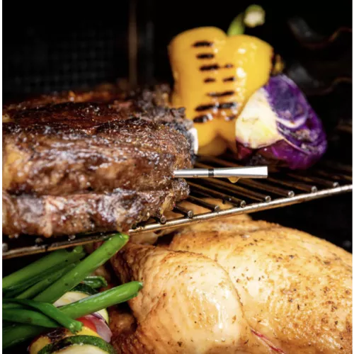 Fleischer Meater 2 Plus (RT3-MT-MP201)