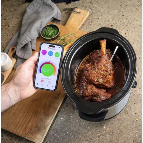 Fleischer Meater 2 Plus (RT3-MT-MP201)