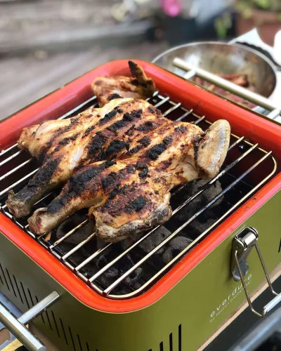 ewig Everdure Cube Holzkohlegrill Grün / Khaki (HBCUBEKEU)