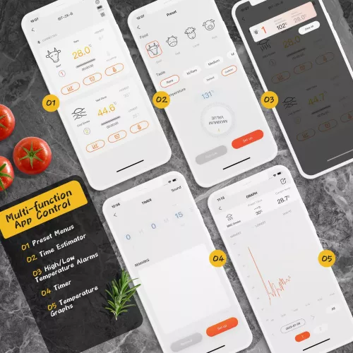 Inkbird BBQ Thermometer Inkbird IBT-2X Thermometer mit LCD und Bluetooth (IBT-2X)