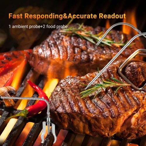 Inkbird BBQ Thermometer Inkbird BBQ-Temperaturregler ISC-007BW mit App (ISC-007BW)