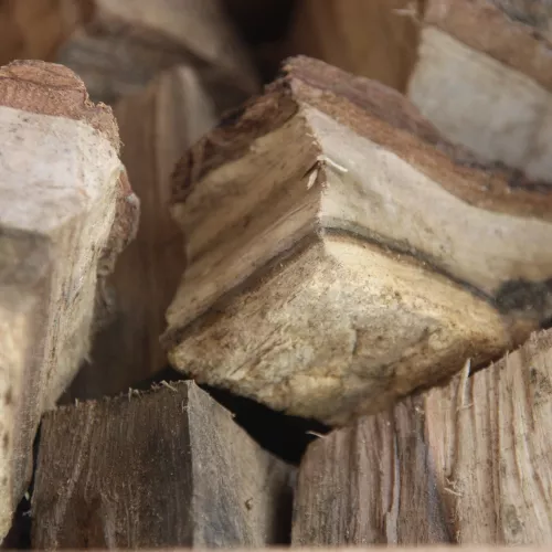 BBQ-Geschmack Stück Hickory mit BBQ-Flavour (100317)