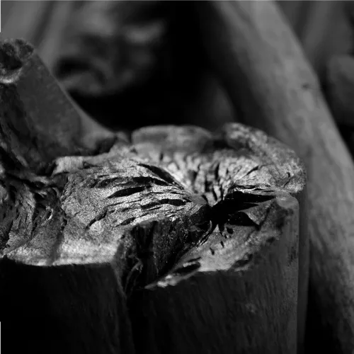 BBQ-Geschmack BBQ Flavour Binchotan Weißer Eukalyptus, 1 Grillvorgang (100216)