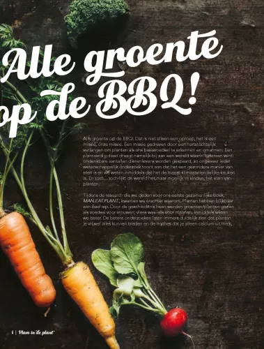 Kosmos Flamme in der Pflanze Vegane Rezepte für den Grill (11873)