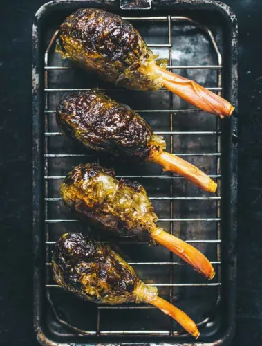 Kosmos Flamme in der Pflanze Vegane Rezepte für den Grill (11873)