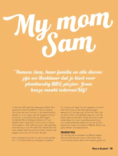 Kosmos Flamme in der Pflanze Vegane Rezepte für den Grill (11873)