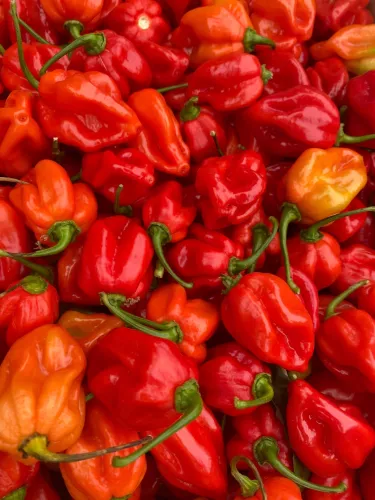 Tomasu Sojasauce Tomasu Sambal (11879)