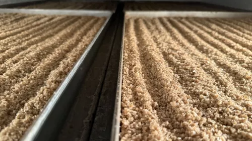 Tomasu Sojasauce Tomasu-Salz (11887)