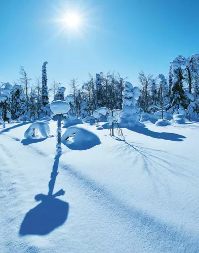 Rauchige Köstlichkeit Smokey Goodness Winter BBQ (9399157507)