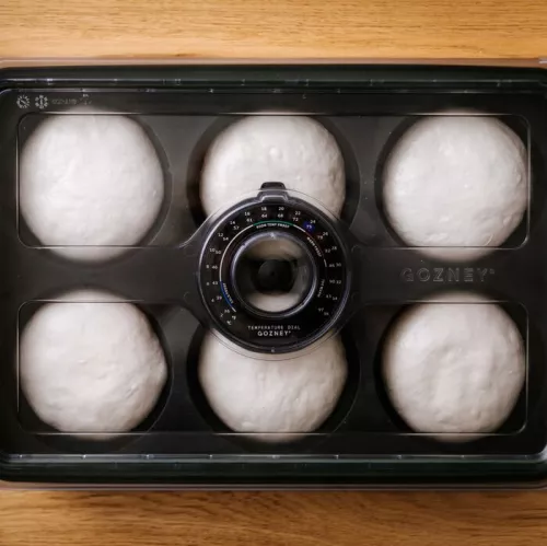 Gozney Gozney Pizza Balls Teigbox (AD1646)