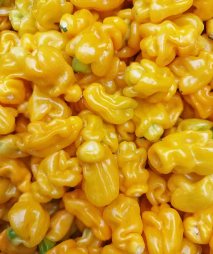 Tomasu Sojasauce Limitierte süß-scharfe Sojasauce - Madame Jeanette (12272)